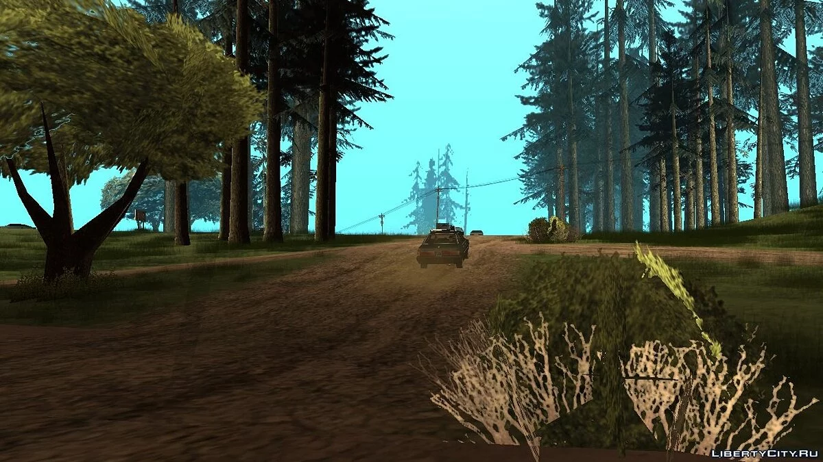 Special Occasion / GTA San Andreas