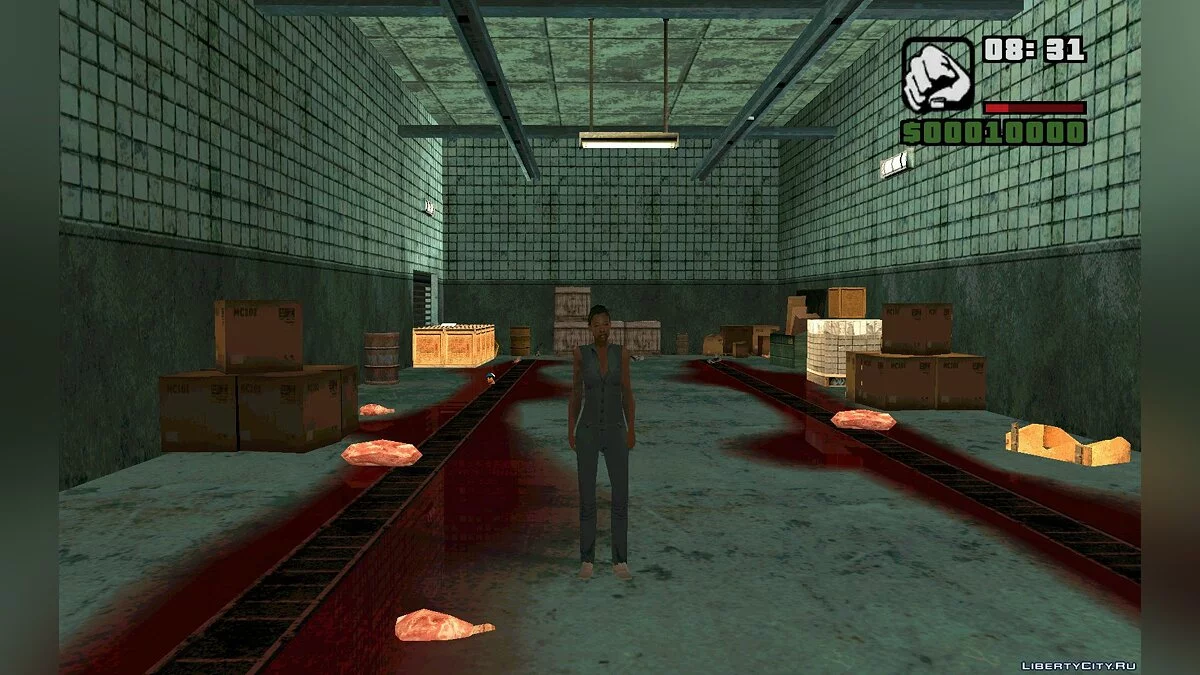 Blaise: The Beginning / GTA San Andreas