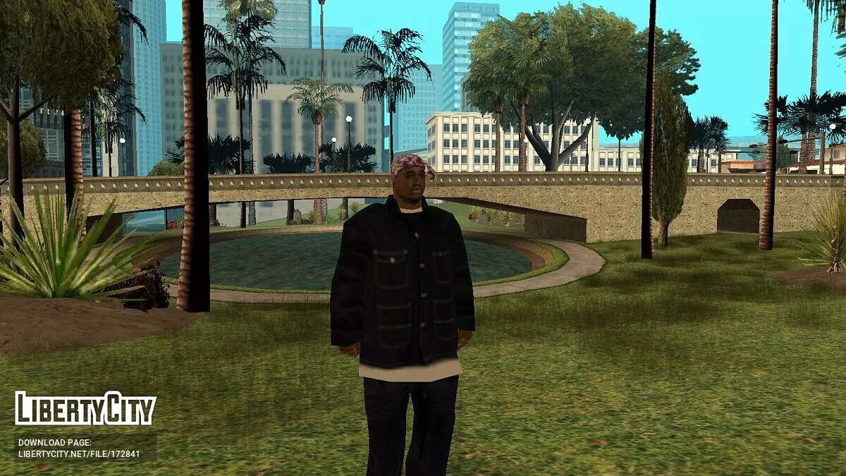 与家庭分离 / GTA San Andreas