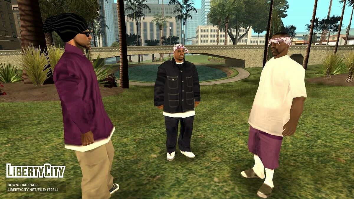 与家庭分离 / GTA San Andreas