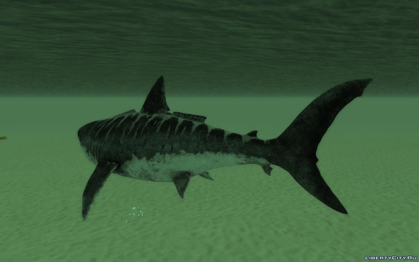 Gta 5 акула мегалодон фото 56