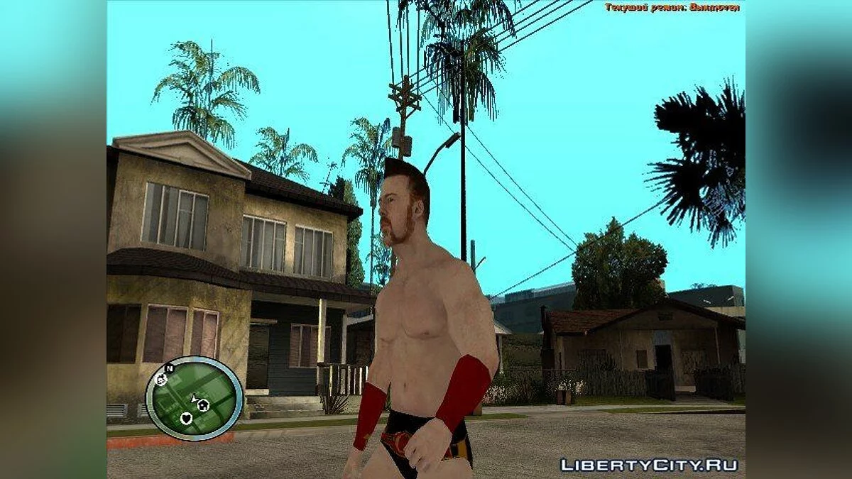 Шеймус Wii WWE'12 / GTA San Andreas