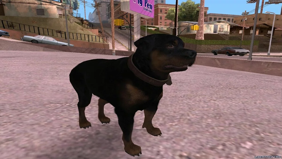 [GTA V] Chop / GTA San Andreas