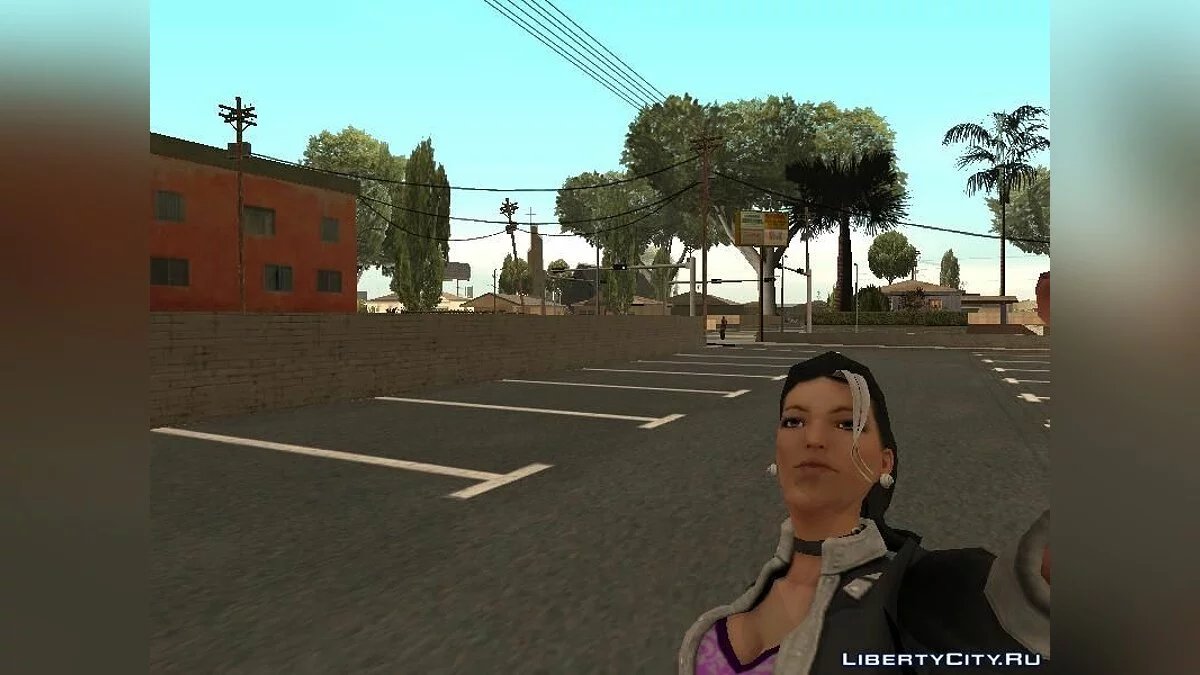 Шаунді з Saints Row 3 The Third / GTA San Andreas