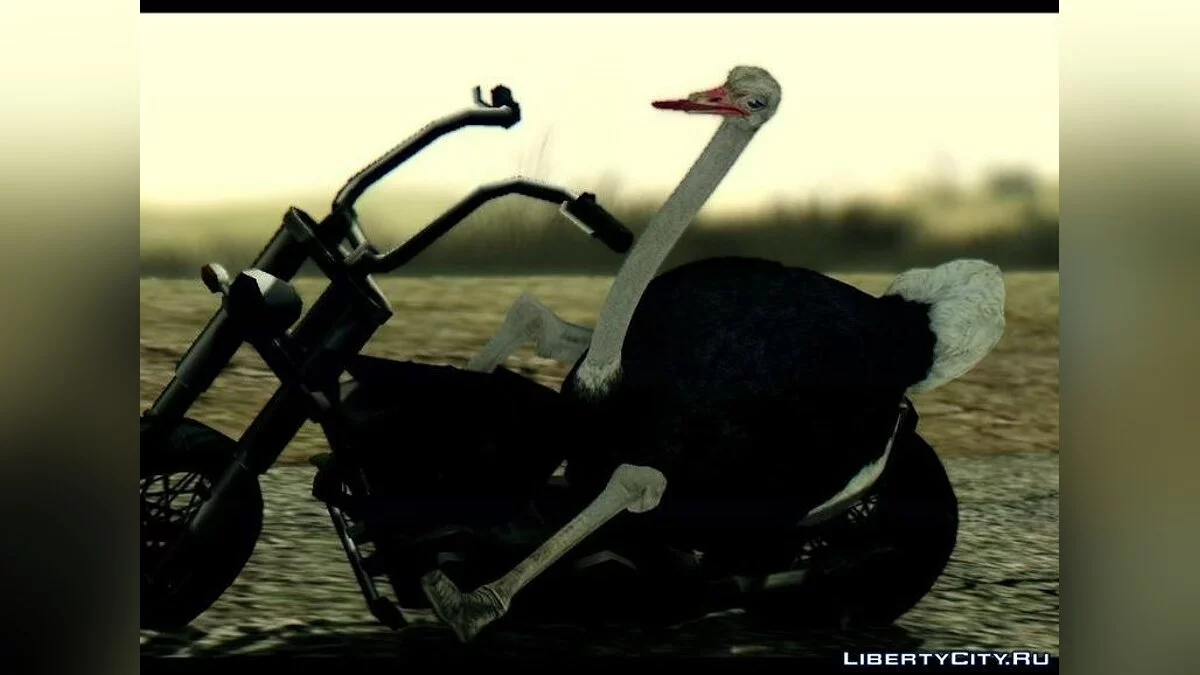 Страус з Симулятора Козла / GTA San Andreas