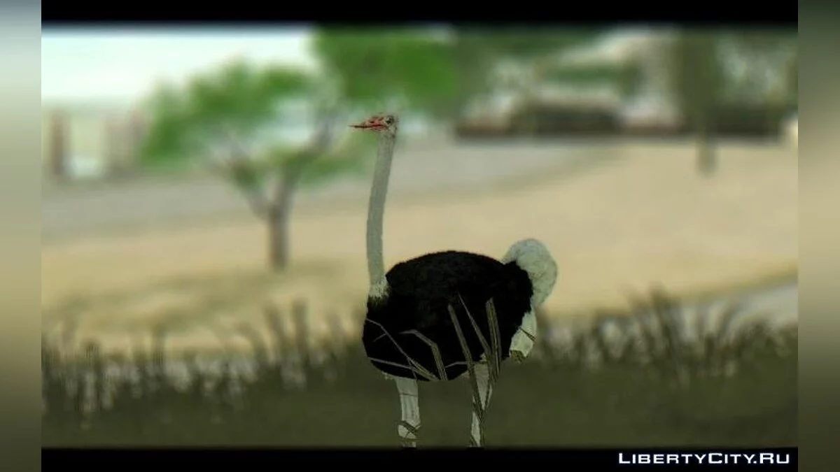 Страус з Симулятора Козла / GTA San Andreas