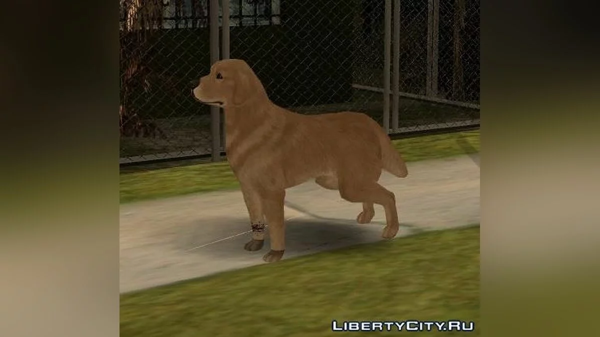 Golden Retriever (Alan Wake) / GTA San Andreas