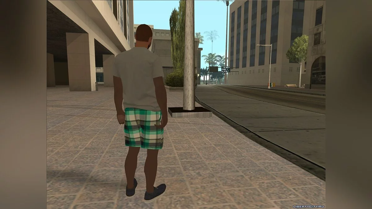 Шоколадний хлопець / GTA San Andreas