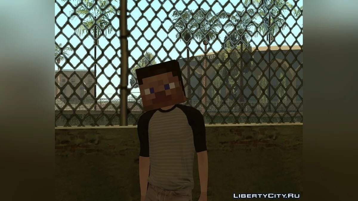 Minecraft Boy / GTA San Andreas