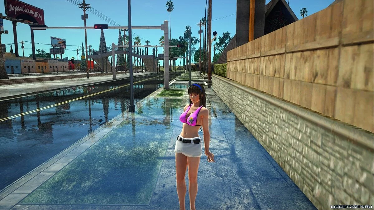 Hitomi dalam Kostum Panas / GTA San Andreas