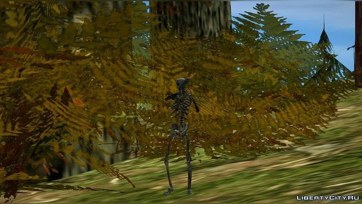Skeleton Skin / GTA San Andreas
