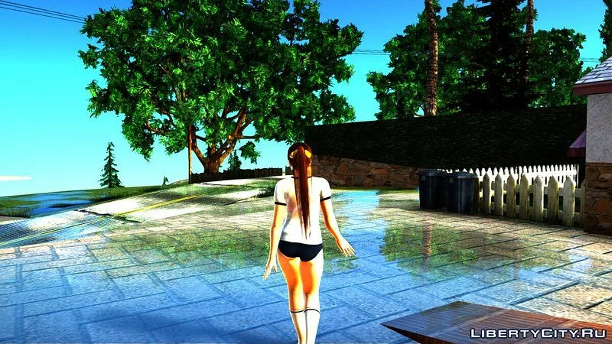 Kasumi en camiseta transparente / GTA San Andreas