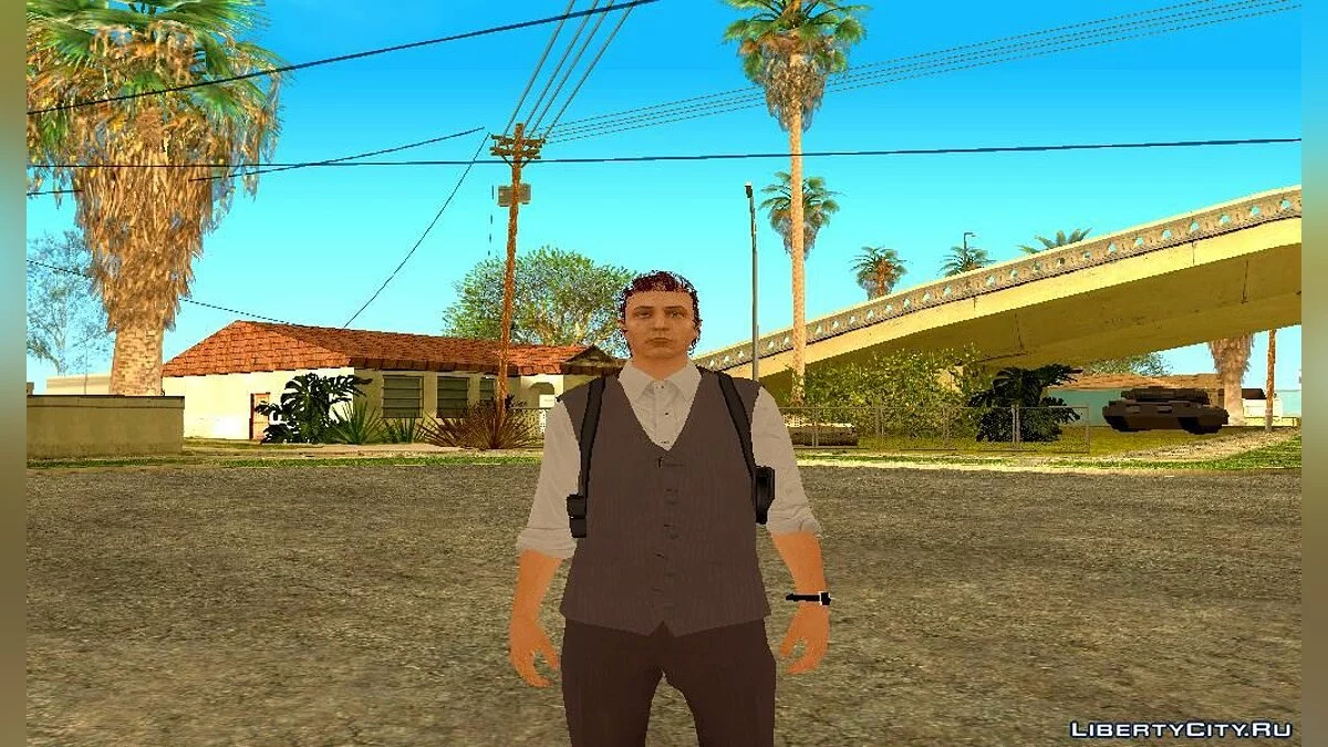Zufälliger Skin aus GTA Online Nr. 180 (Valentinstag) / GTA San Andreas