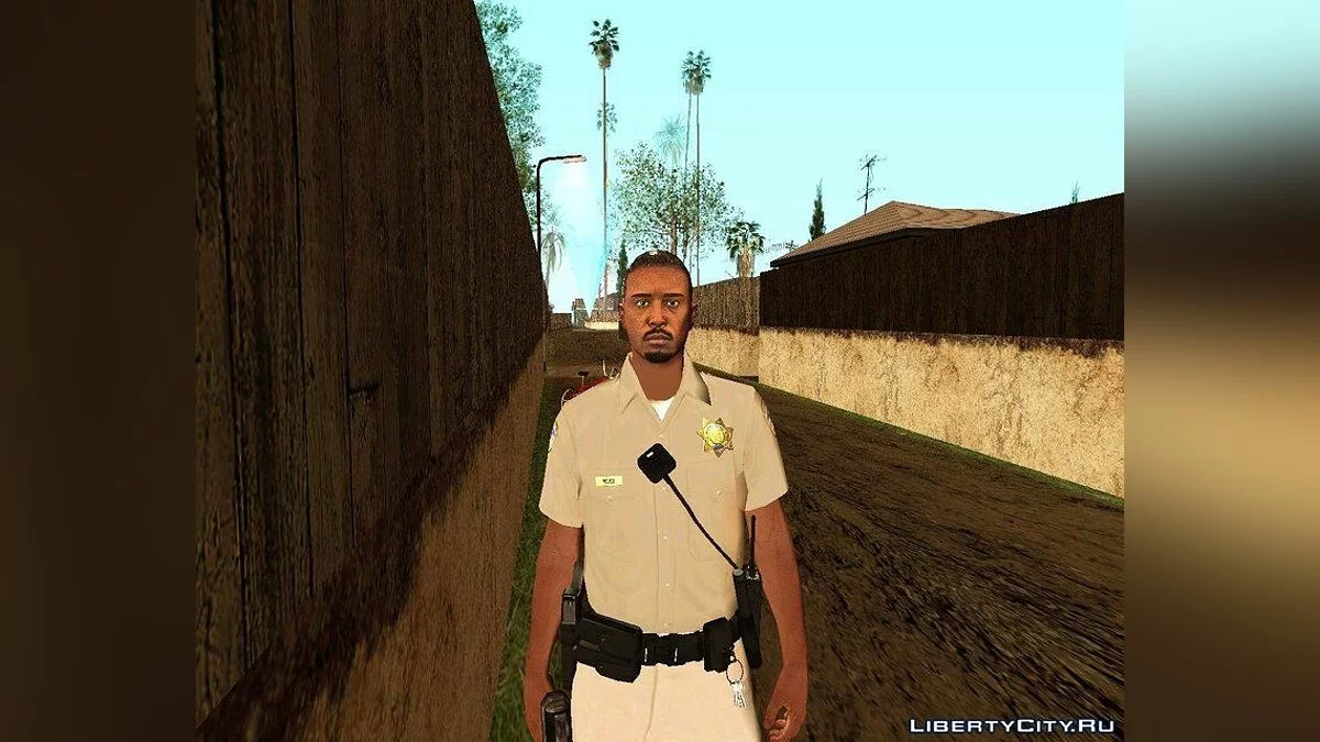 Random Skin #190 from GTA Online / GTA San Andreas