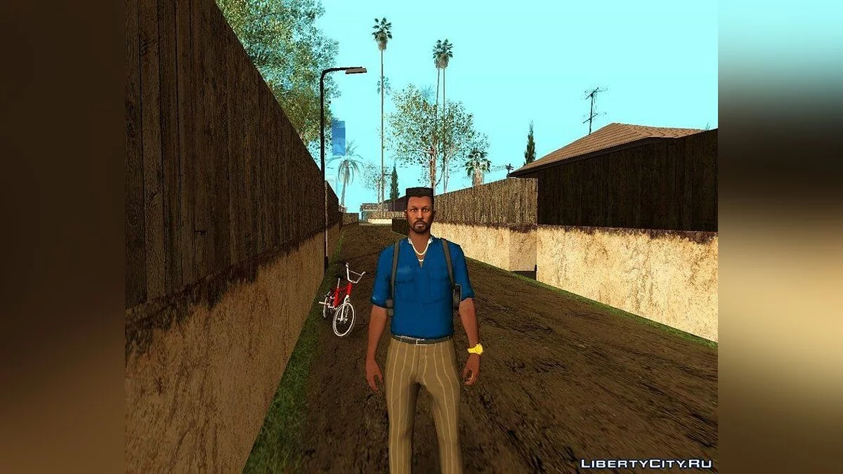 Рандомный скин #208 / GTA San Andreas