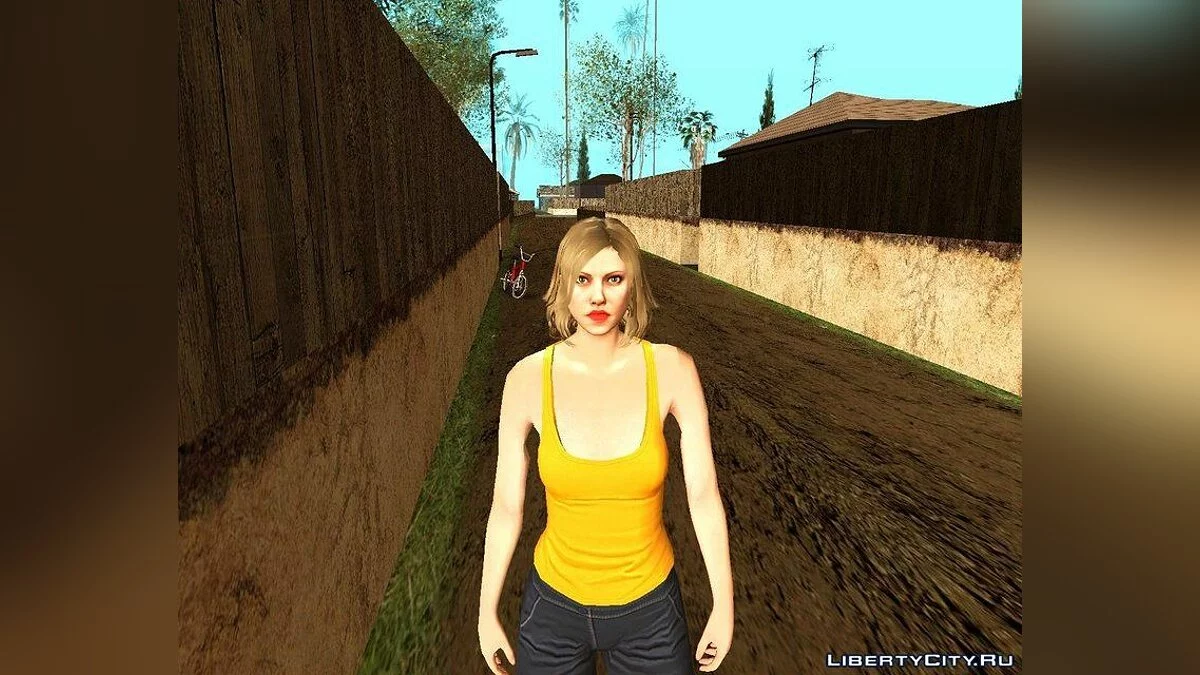 Рандомный скин #209 (мужчина и женщина) / GTA San Andreas