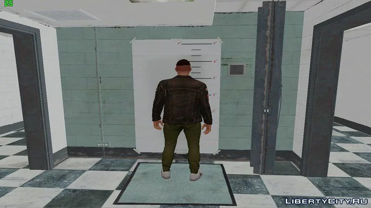 GTA Online 随机皮肤 #212 / GTA San Andreas