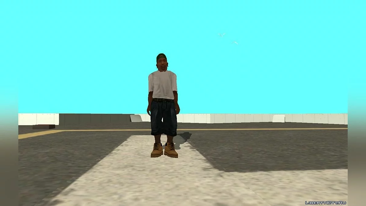 Дитина Карла Джонсона / GTA San Andreas