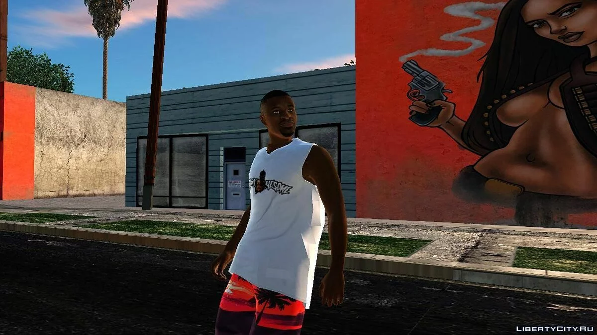 Skin Aleatório #222 / GTA San Andreas