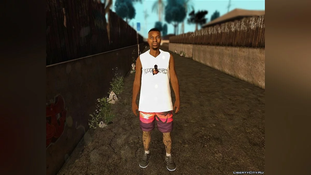 Skin Aleatório #222 / GTA San Andreas
