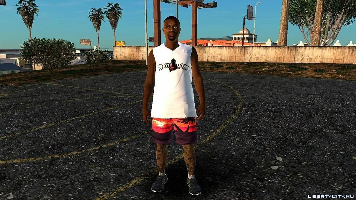 Skin Aleatório #222 / GTA San Andreas