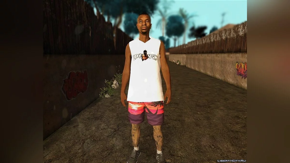 Skin Aleatório #222 / GTA San Andreas