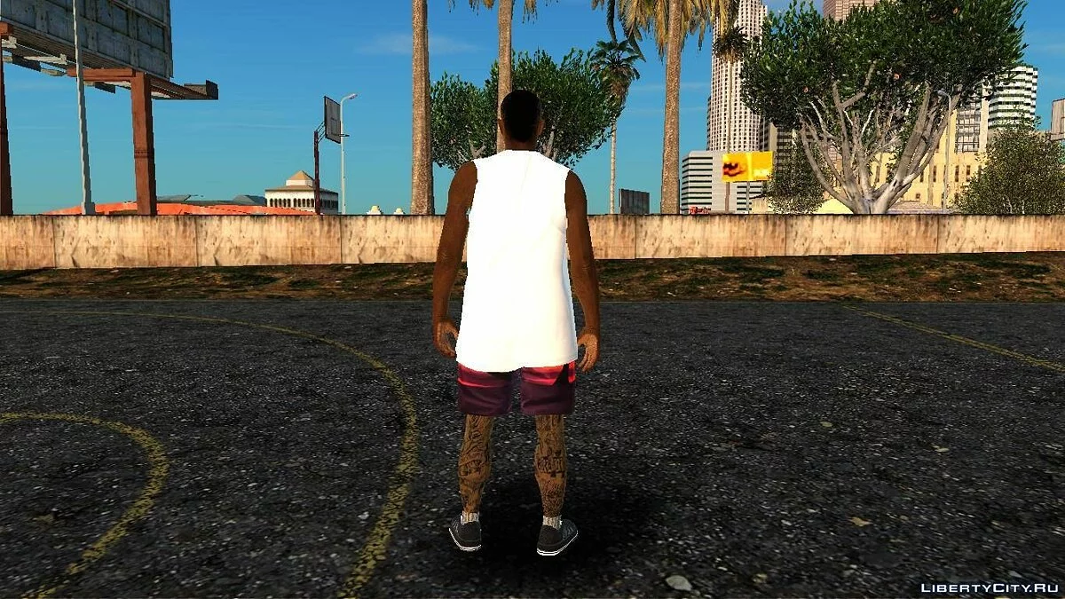 Skin Aleatório #222 / GTA San Andreas
