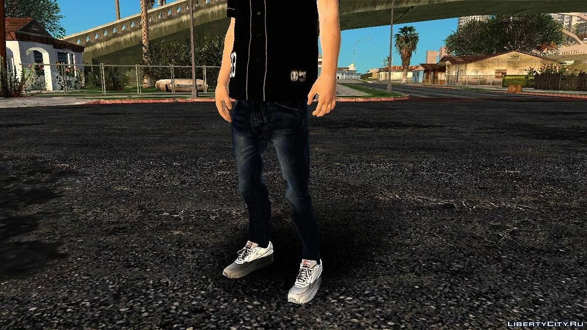 Random Skin #224 / GTA San Andreas