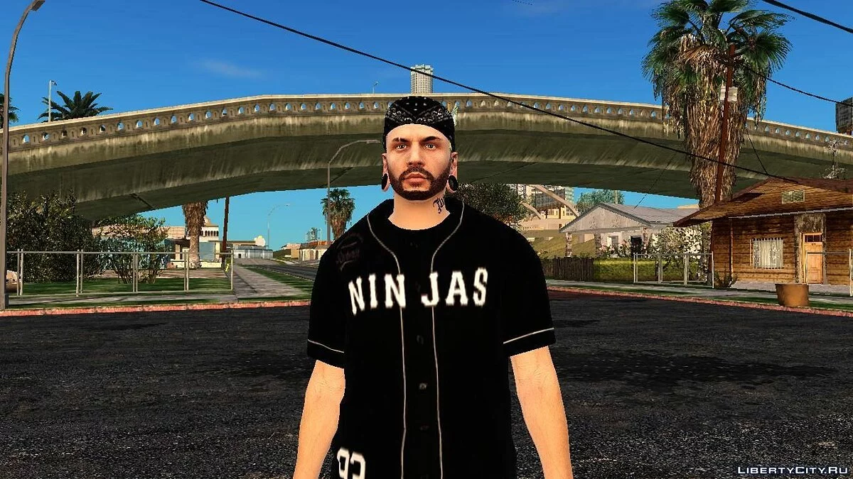 Random Skin #224 / GTA San Andreas