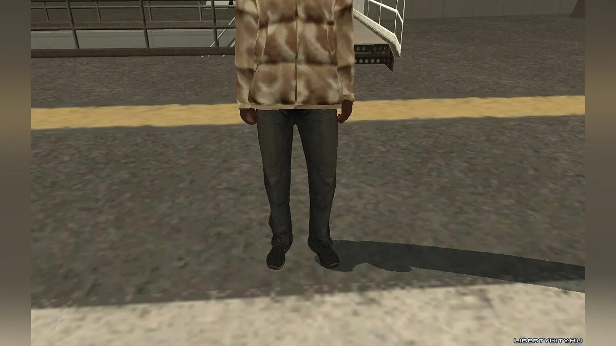 Random Skin #136 / GTA San Andreas