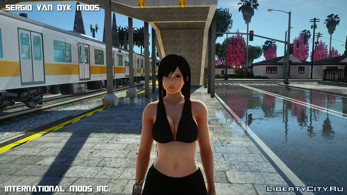 Reine Kokoro / GTA San Andreas