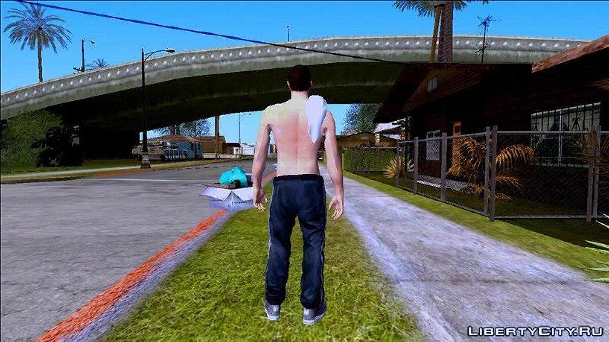 Random Skin #246 / GTA San Andreas