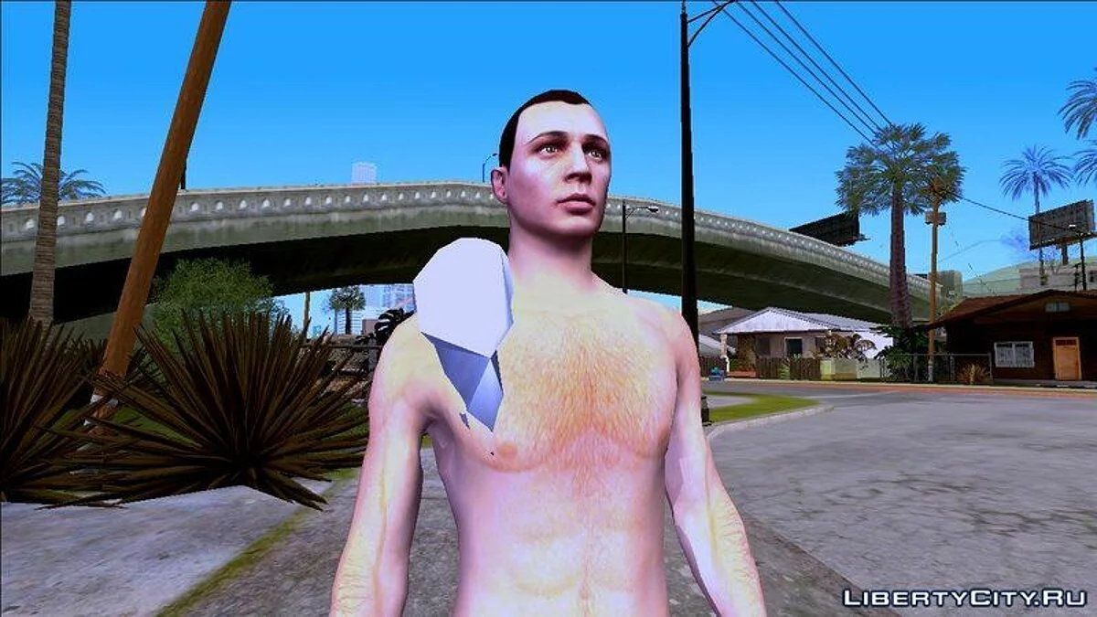 Random Skin #246 / GTA San Andreas