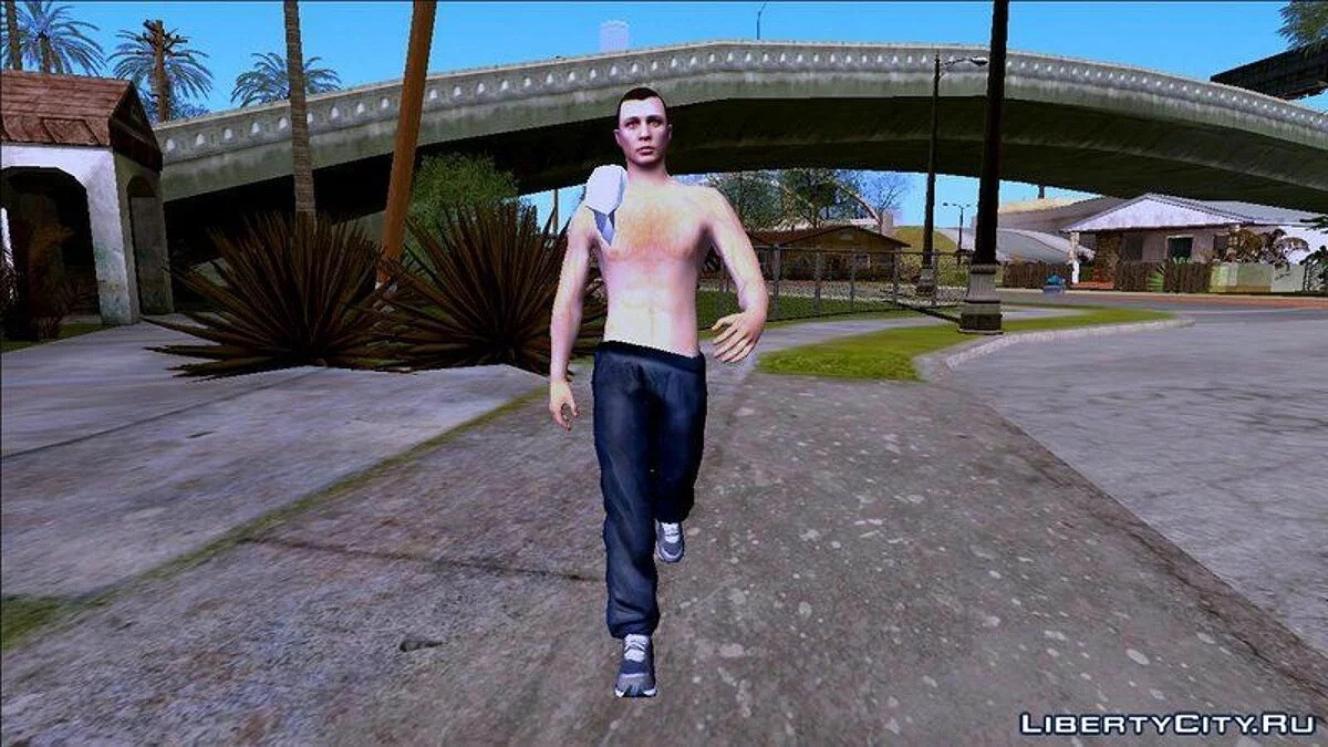 Random Skin #246 / GTA San Andreas