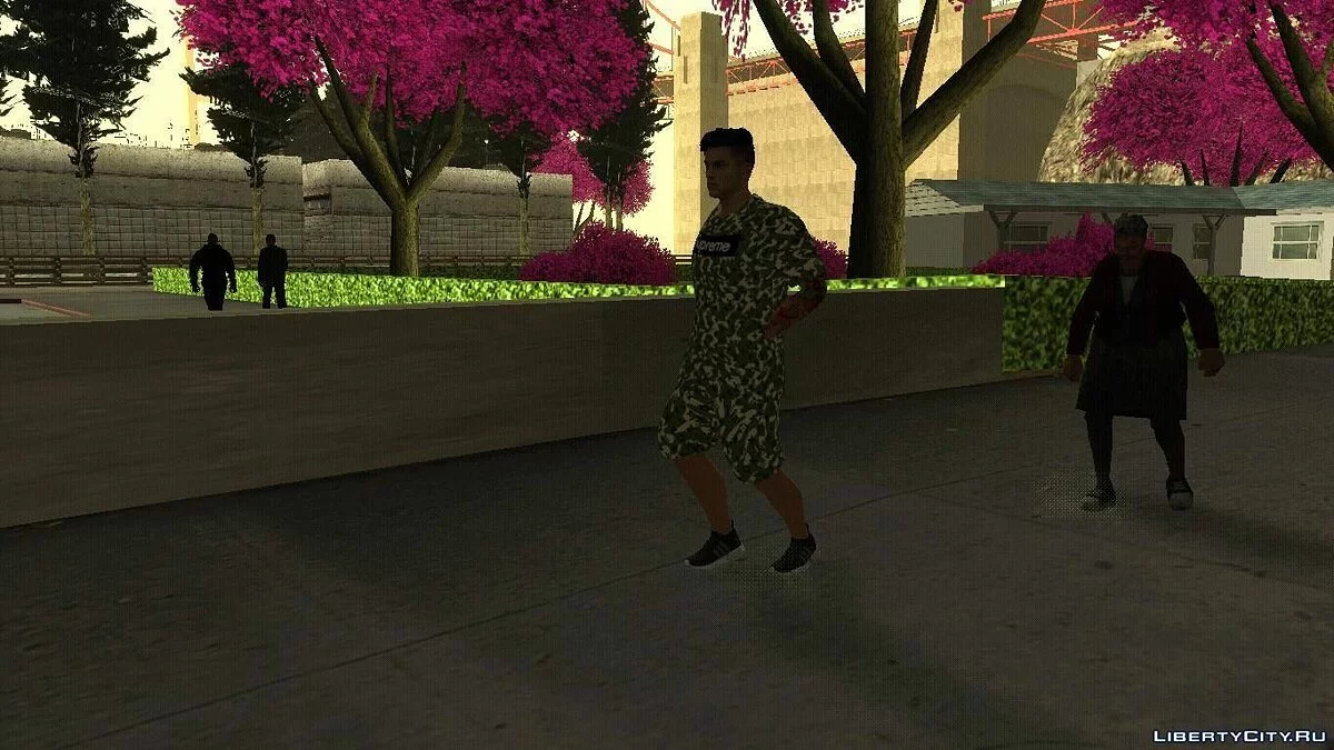 Випадковий скин #247 / GTA San Andreas