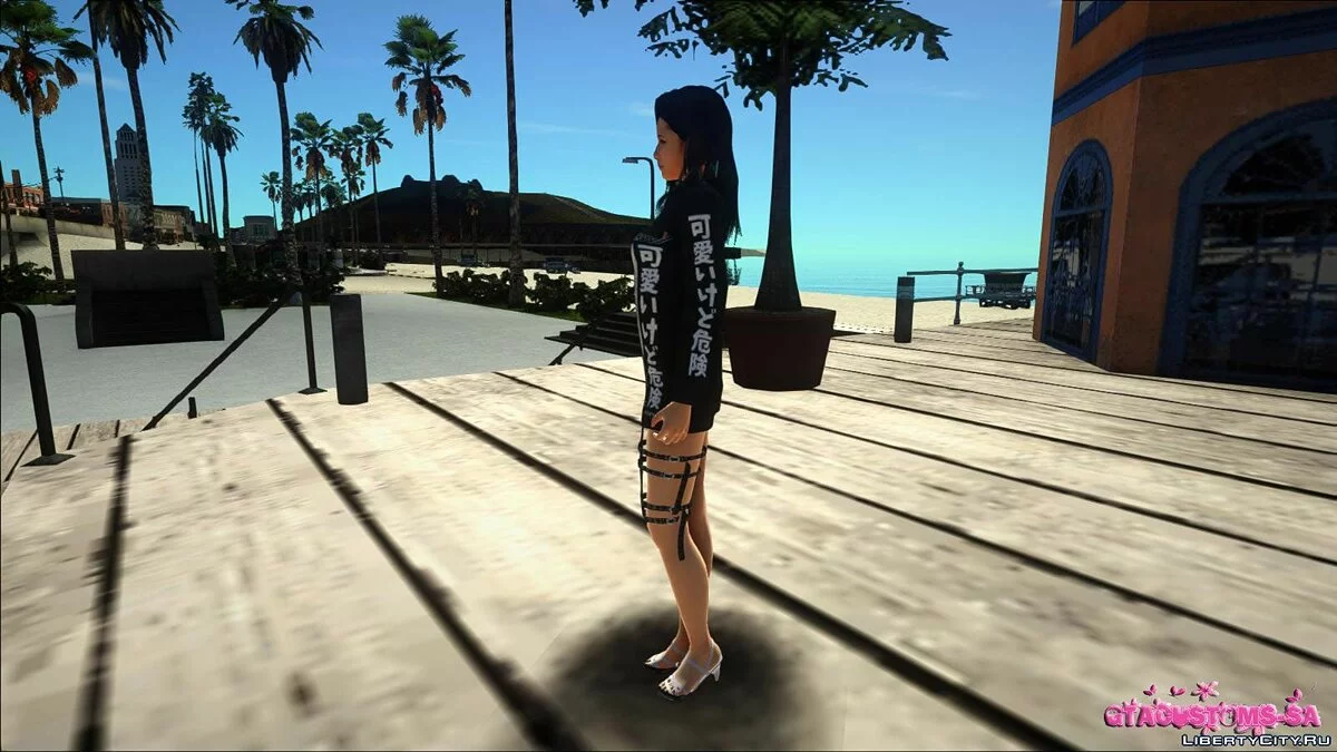 Aiko / GTA San Andreas