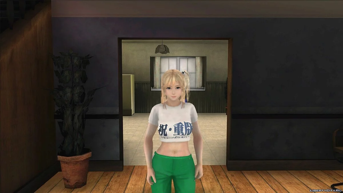 Honoka Elf-San Wa / GTA San Andreas