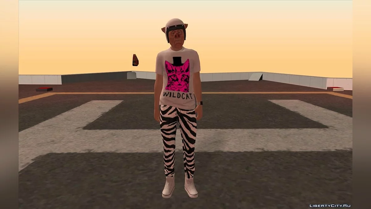 Wildcat Skin / GTA San Andreas