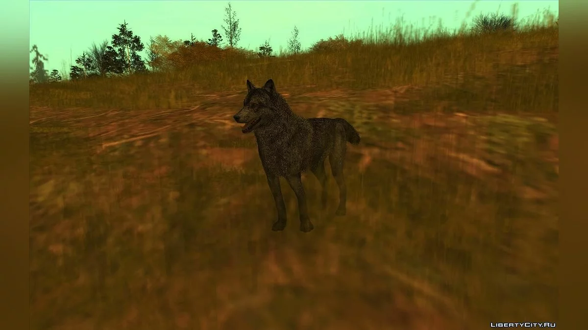 Lobo de Call Of Duty: Ghosts / GTA San Andreas