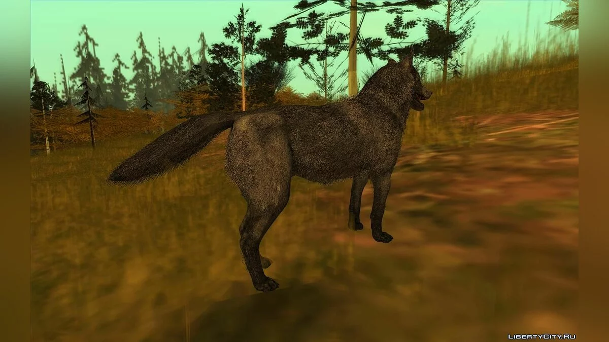 Lobo de Call Of Duty: Ghosts / GTA San Andreas