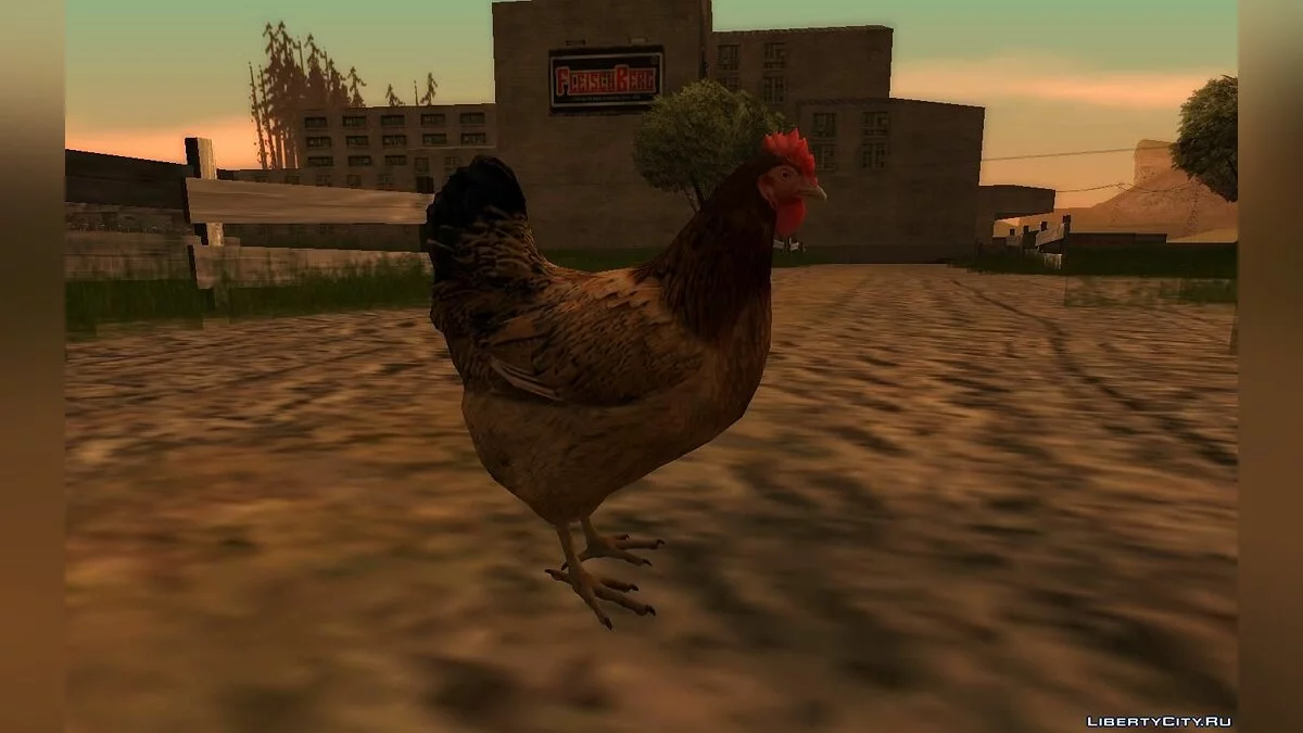 Hen / GTA San Andreas