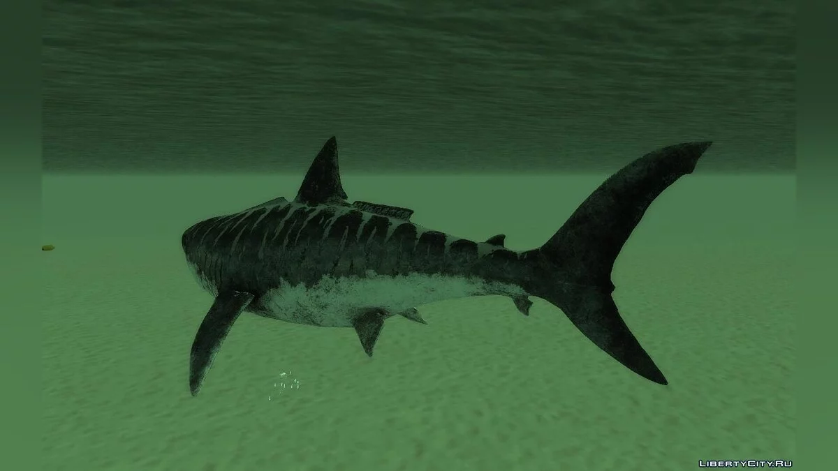 Megalodon / GTA San Andreas