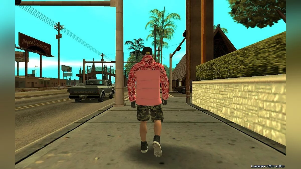Рандомный скин #49 (Экипировка Импорт-Экспорт) / GTA San Andreas