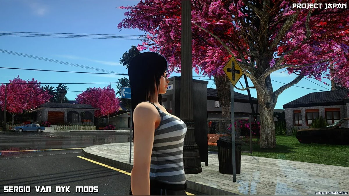 心灵 / GTA San Andreas