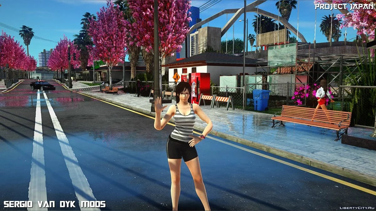 心灵 / GTA San Andreas