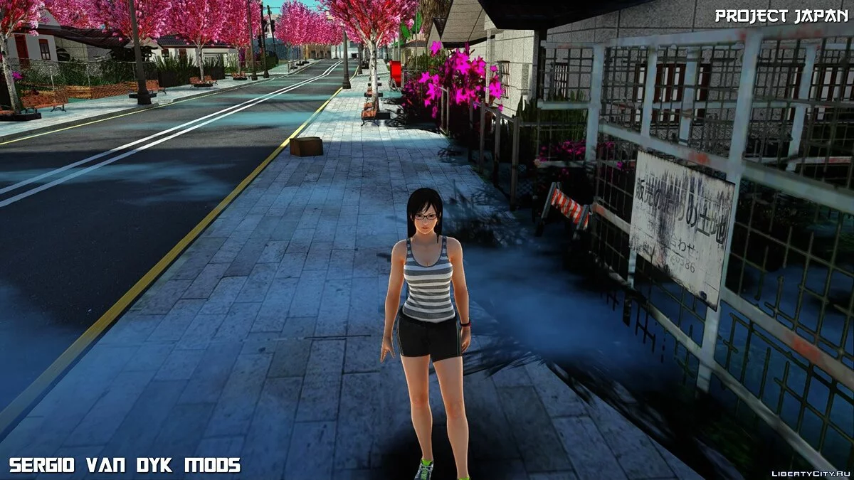 心灵 / GTA San Andreas