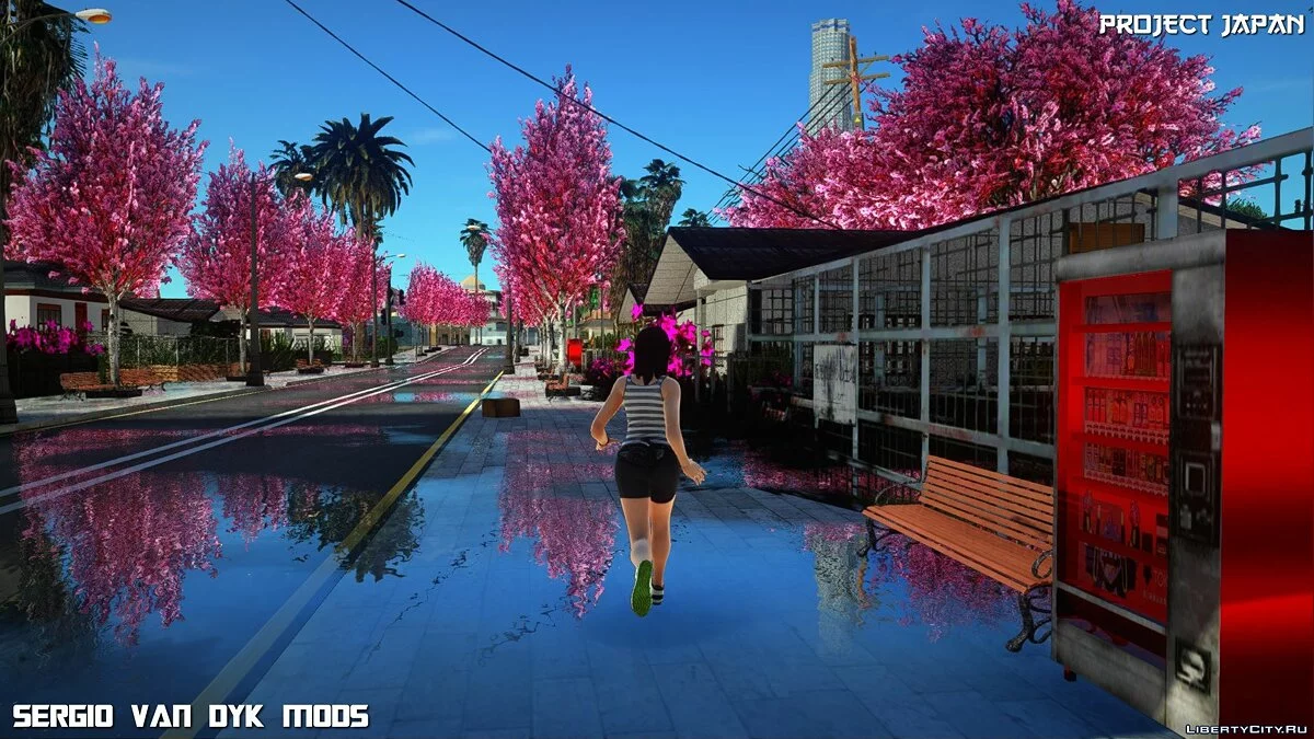 心灵 / GTA San Andreas