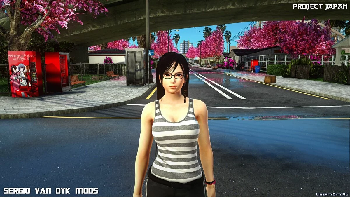 心灵 / GTA San Andreas