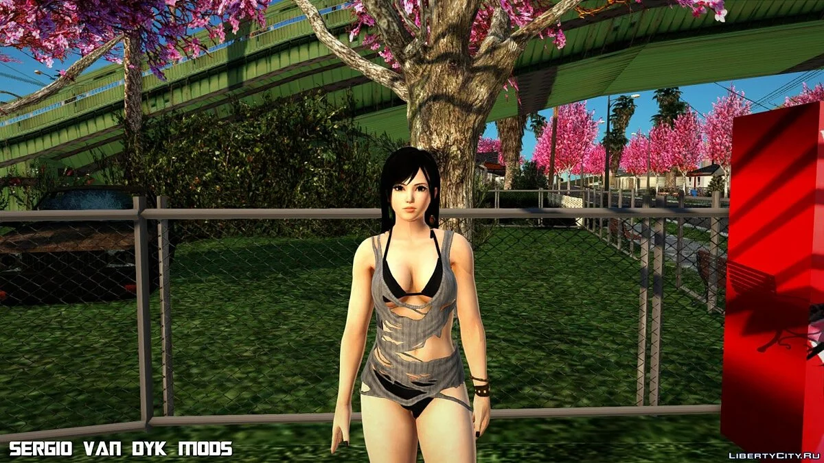 Hot Kokoro Tropics / GTA San Andreas