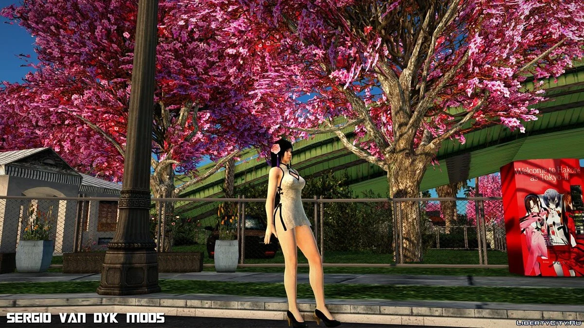 Kokoro in Mandarin Dress / GTA San Andreas
